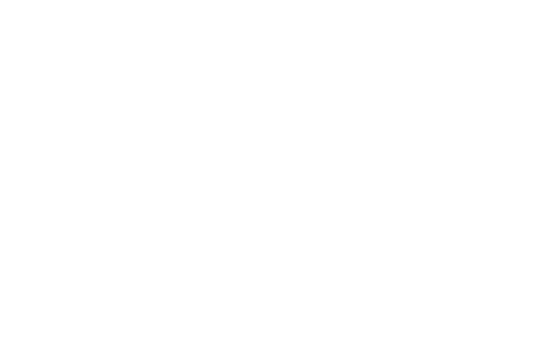 Vibrance Logo